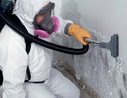 Mold Odor Removal Services in Stuart, IA